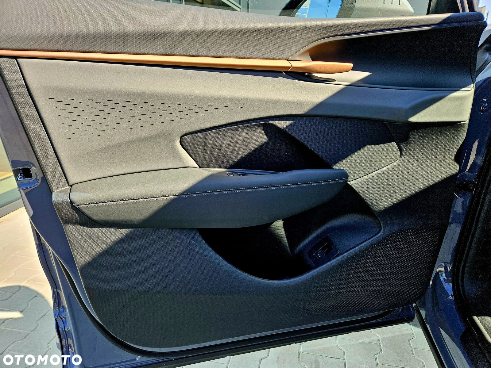 Cupra Terramar - 11