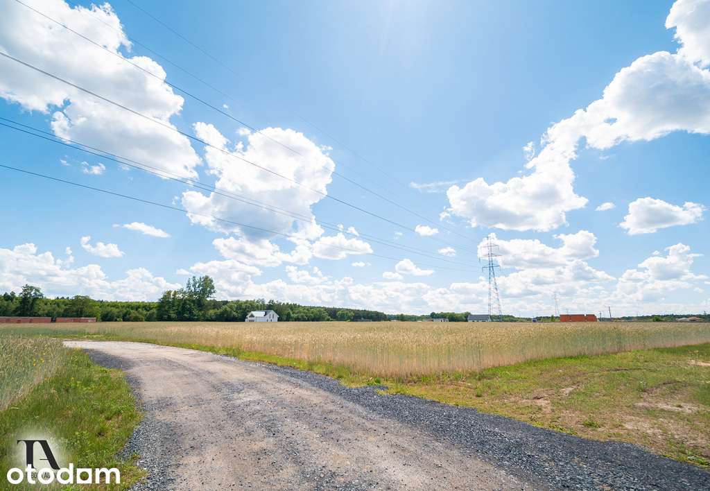 Duża działka 1409 m² niedaleko Leszna (Wyciążkowo) - Pełny obrazek: 3/6