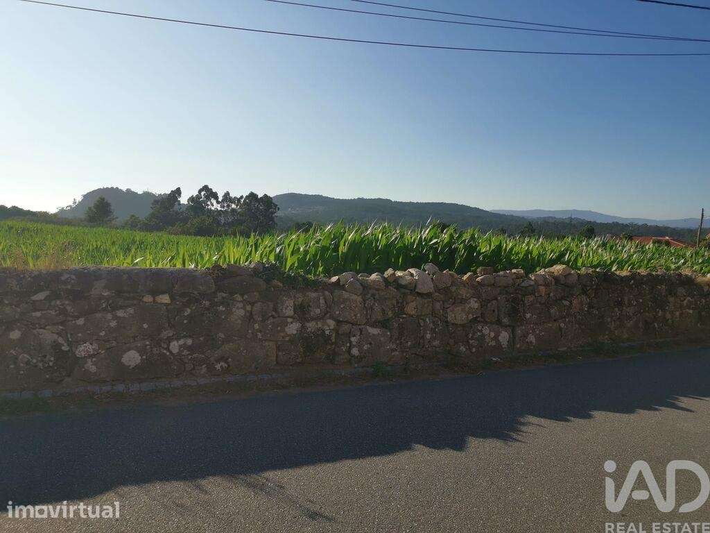 Terreno para construção em Antas de 4675,00 m2 - Grande imagem: 3/15