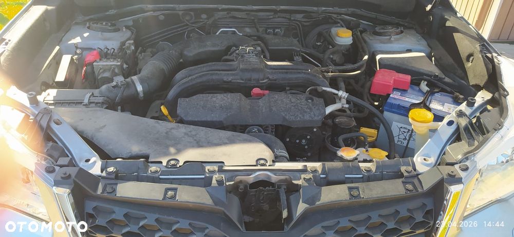 Subaru Forester - 4