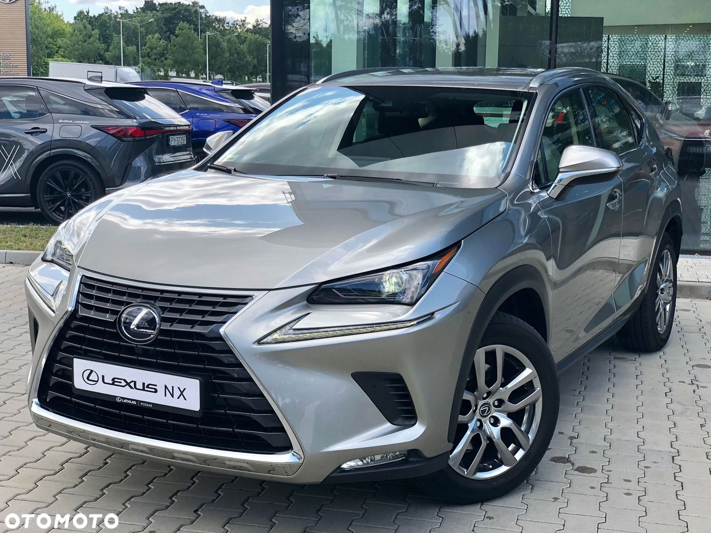 Lexus NX - 10