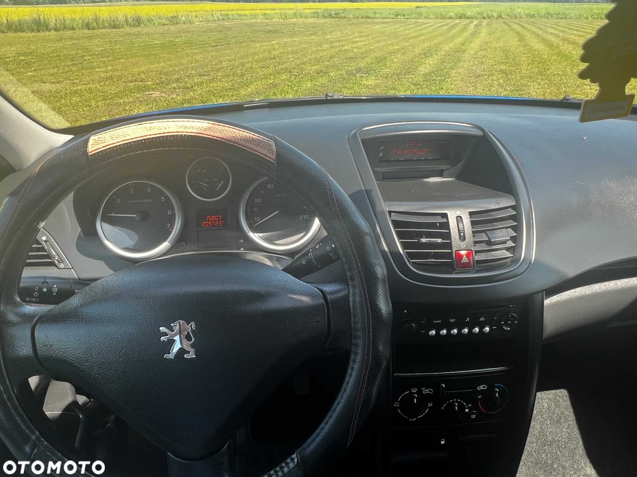 Peugeot 207 - 9