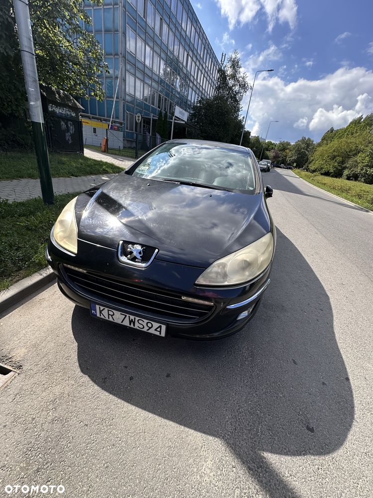 Peugeot 407 - 6