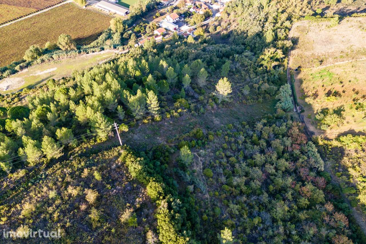 TERRENO RÚSTICO | 7.760 M2 | MECA | ALENQUER - Grande imagem: 5/5