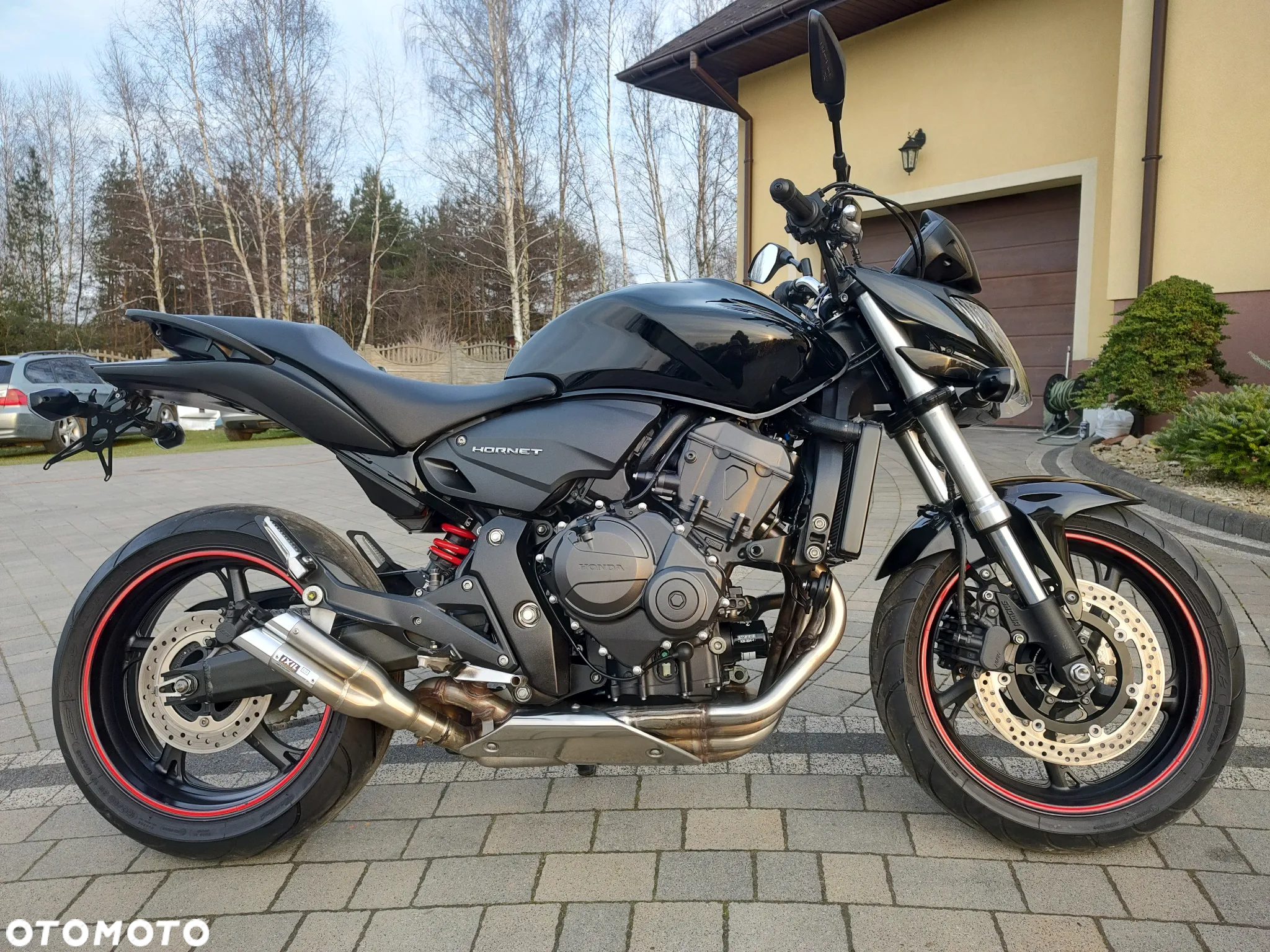 Honda Hornet - 5