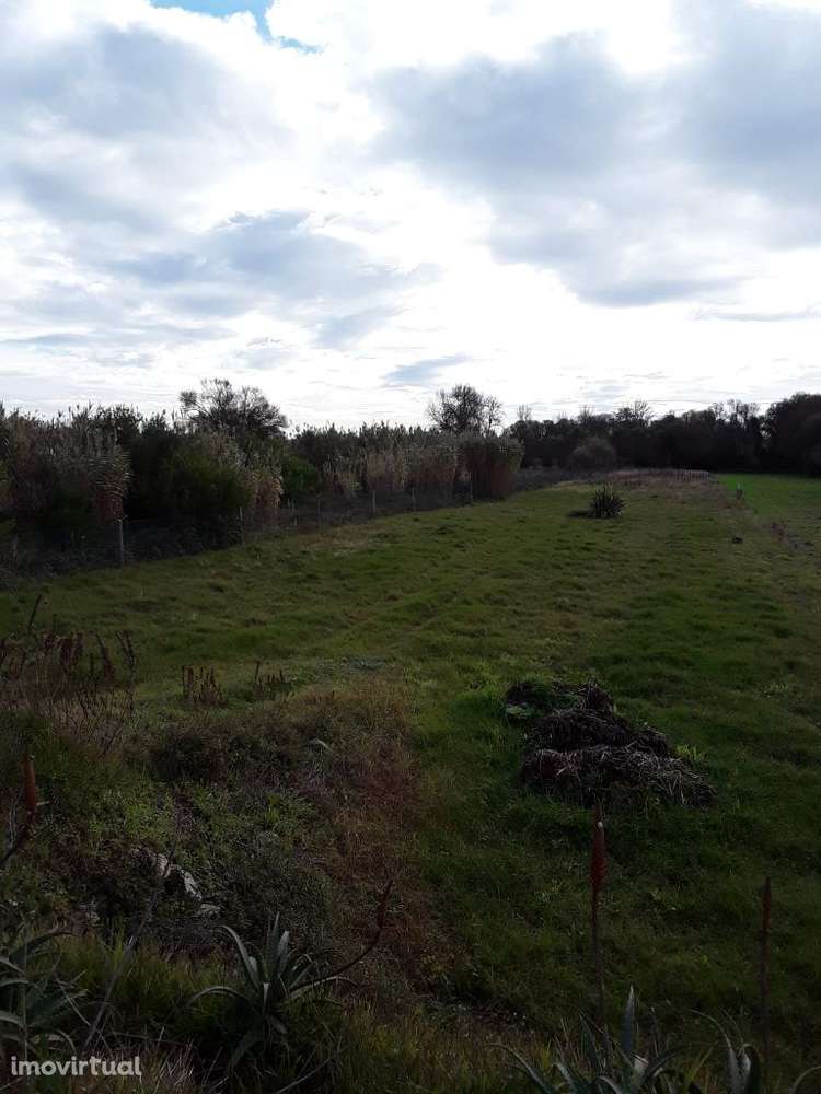 Terreno em Apúlia - Grande imagem: 2/6