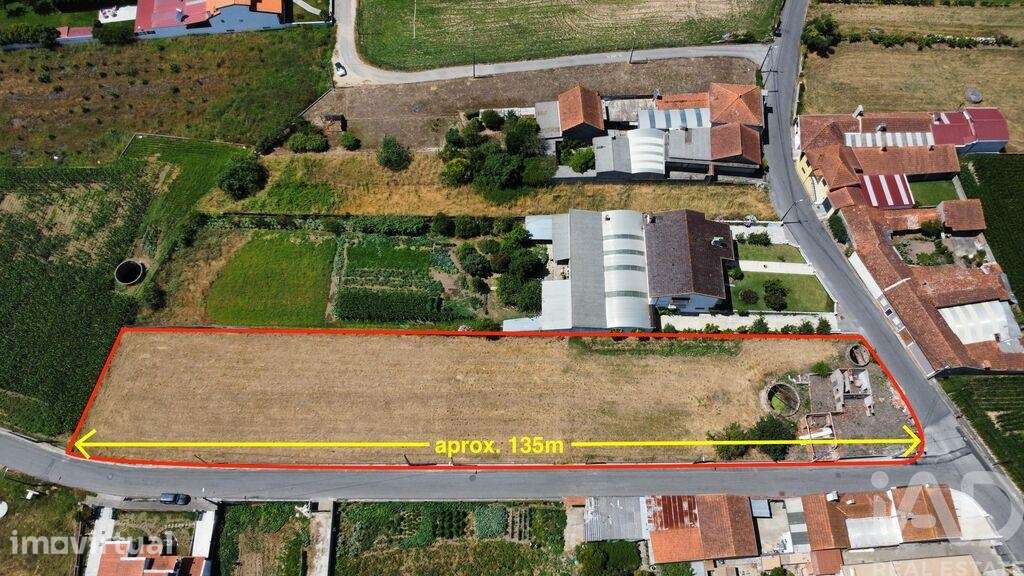 Terreno Agrícola em Requeixo, Nossa Senhora de Fátima e Nariz - Grande imagem: 2/10