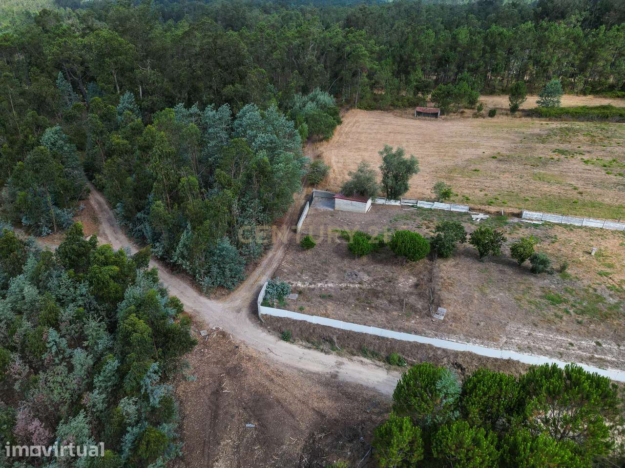 Pinhal com cerca de 720 m² em Canazieira – Cabeça Alta, Montemor-o-Vel - Grande imagem: 2/10