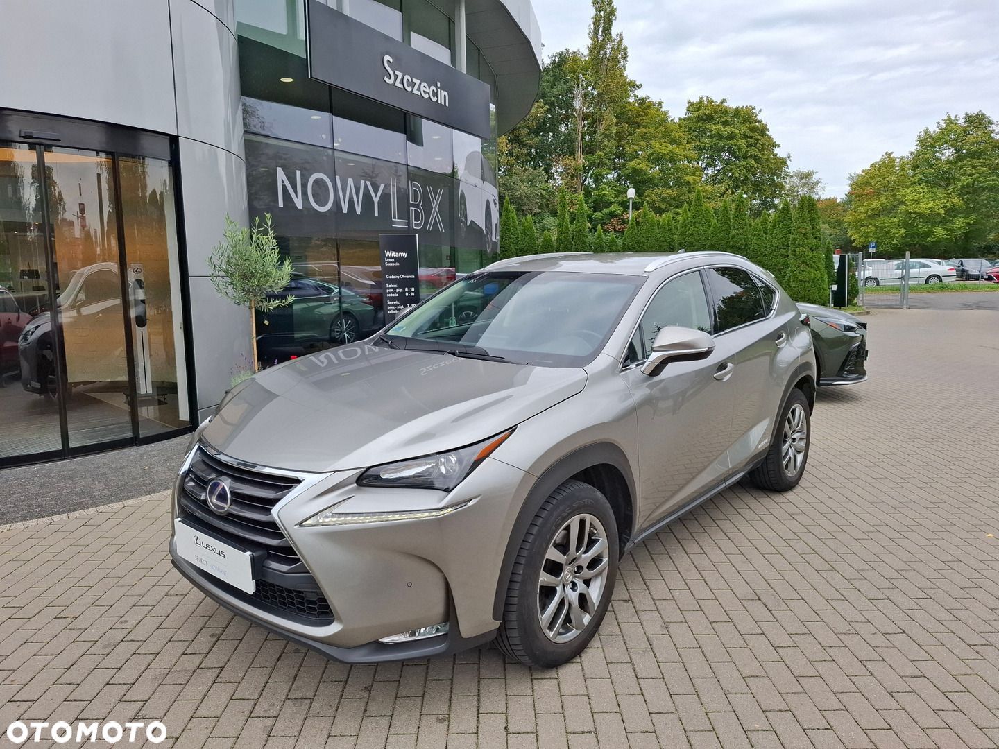 Lexus NX 300h Comfort AWD - 1