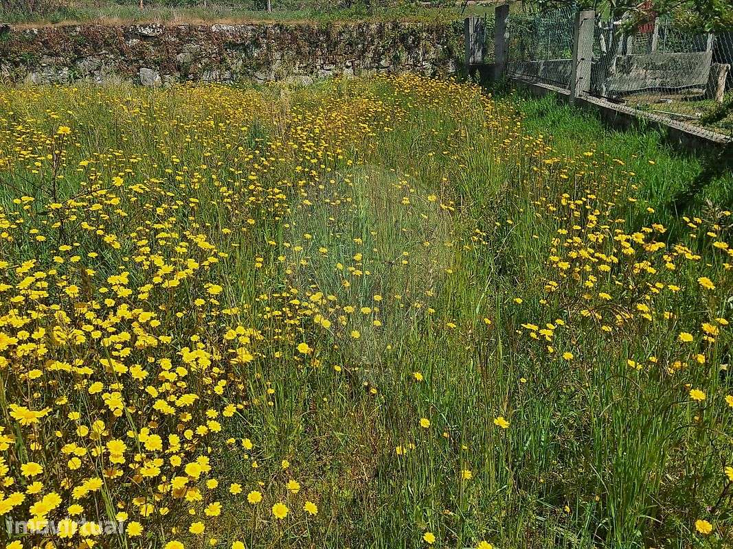 Terreno  para venda - Grande imagem: 3/5