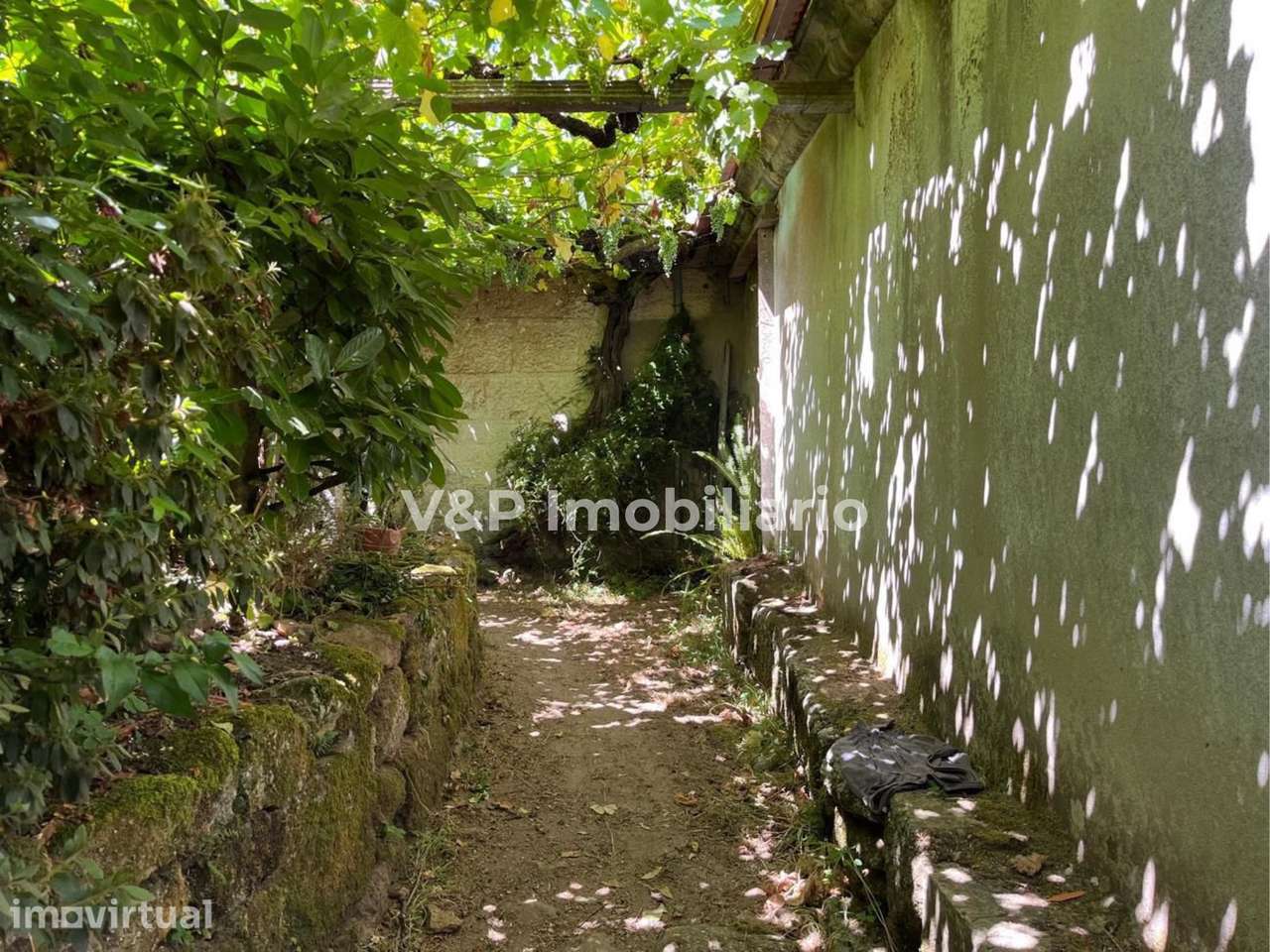 Quinta em Santa Maria de Cárquere - Grande imagem: 4/25