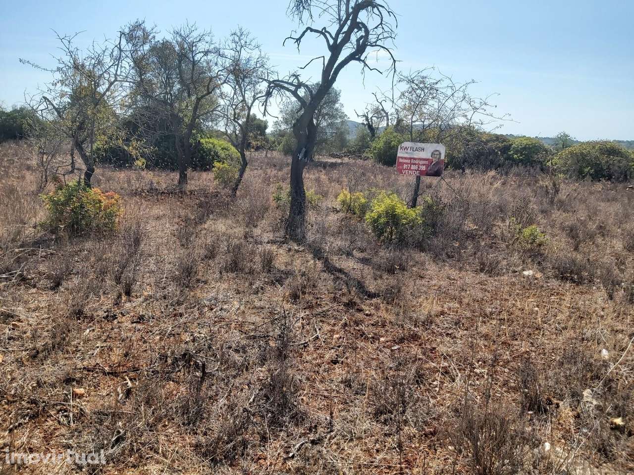 TERRENO RÚSTICO COM 2300M2 NAS TERRAS-MORTAS - S. SEBASTIÃO - LOULÉ - Grande imagem: 5/15