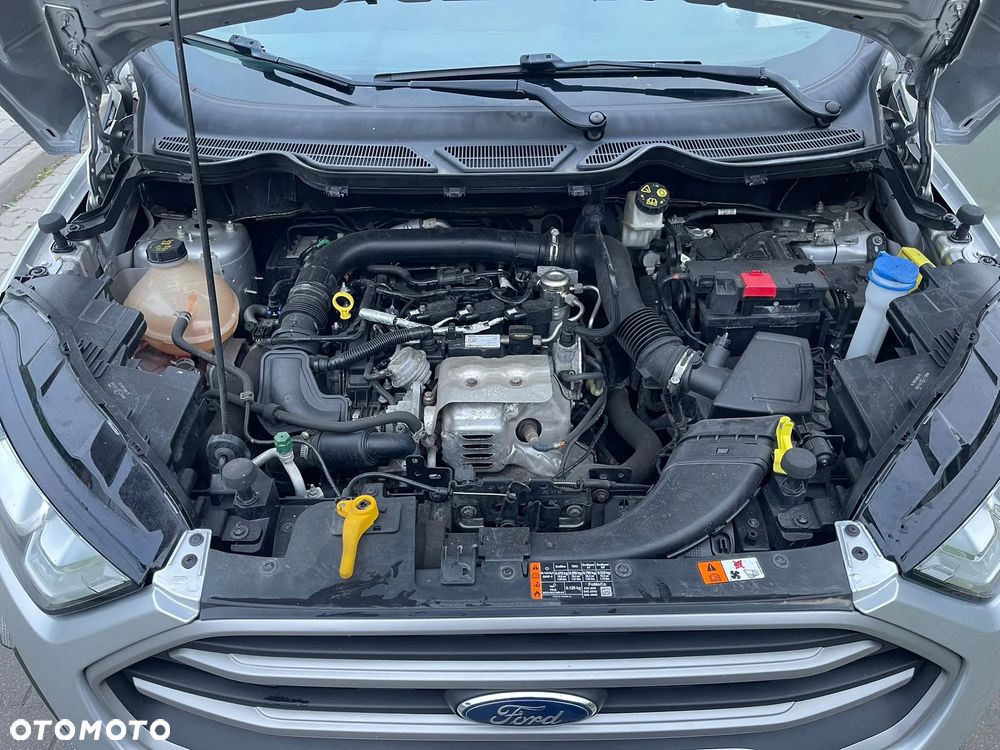 Ford EcoSport - 18
