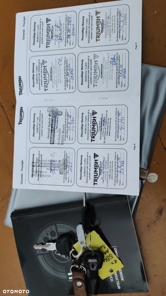Triumph Tiger - 29