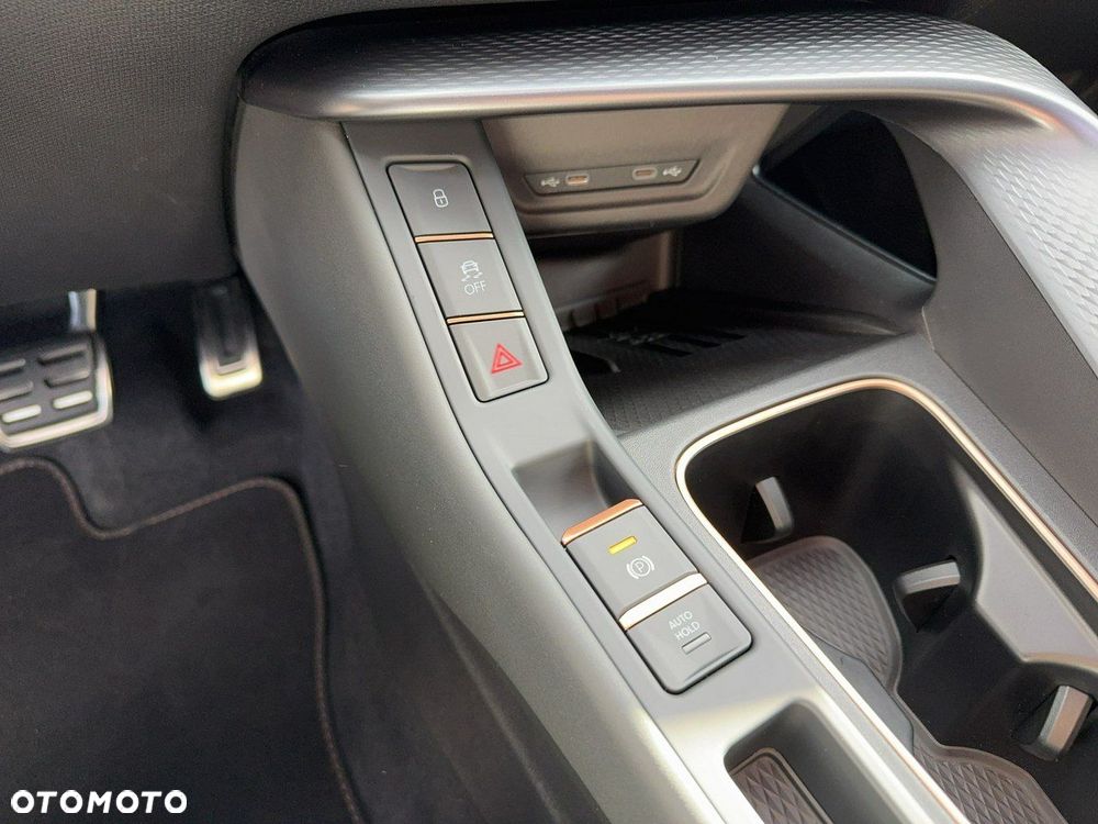 Cupra Terramar - 30