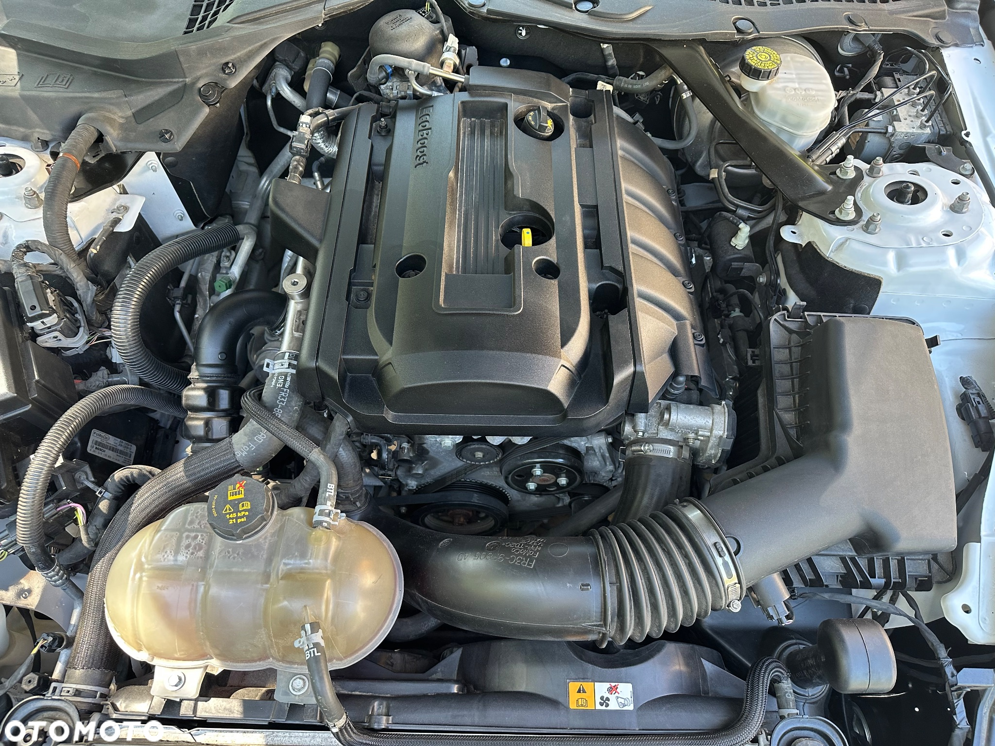 Ford Mustang Cabrio 2.3 Eco Boost - 16