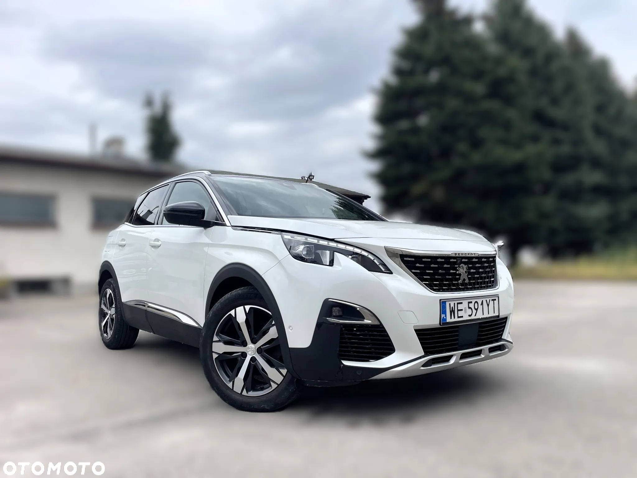 Peugeot 3008 1.6 PureTech GPF GT Line S&S EAT8 - 13