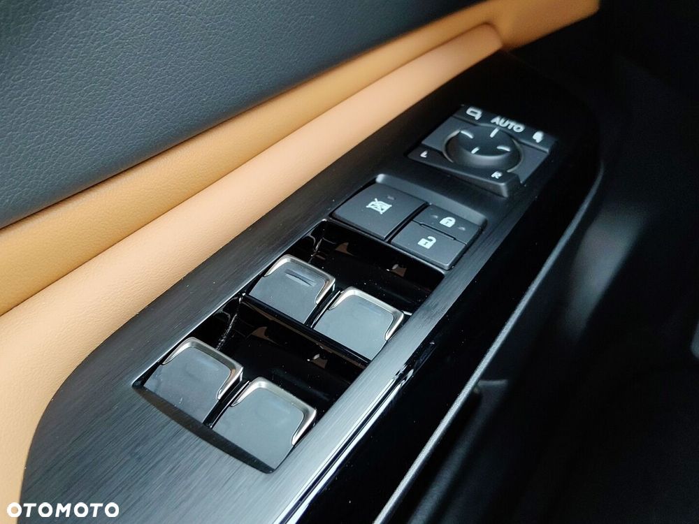 Lexus ES 300h Omotenashi - 19