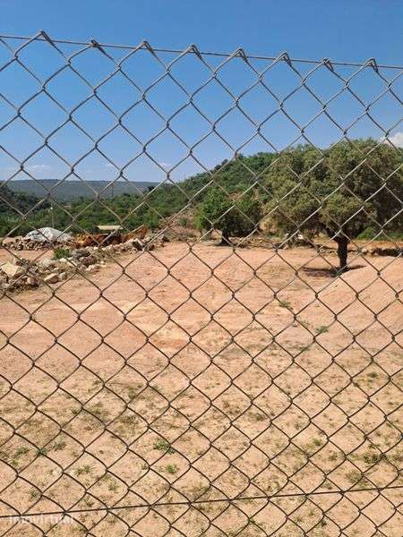 Terreno/ estaleiro para alugar - Grande imagem: 3/4