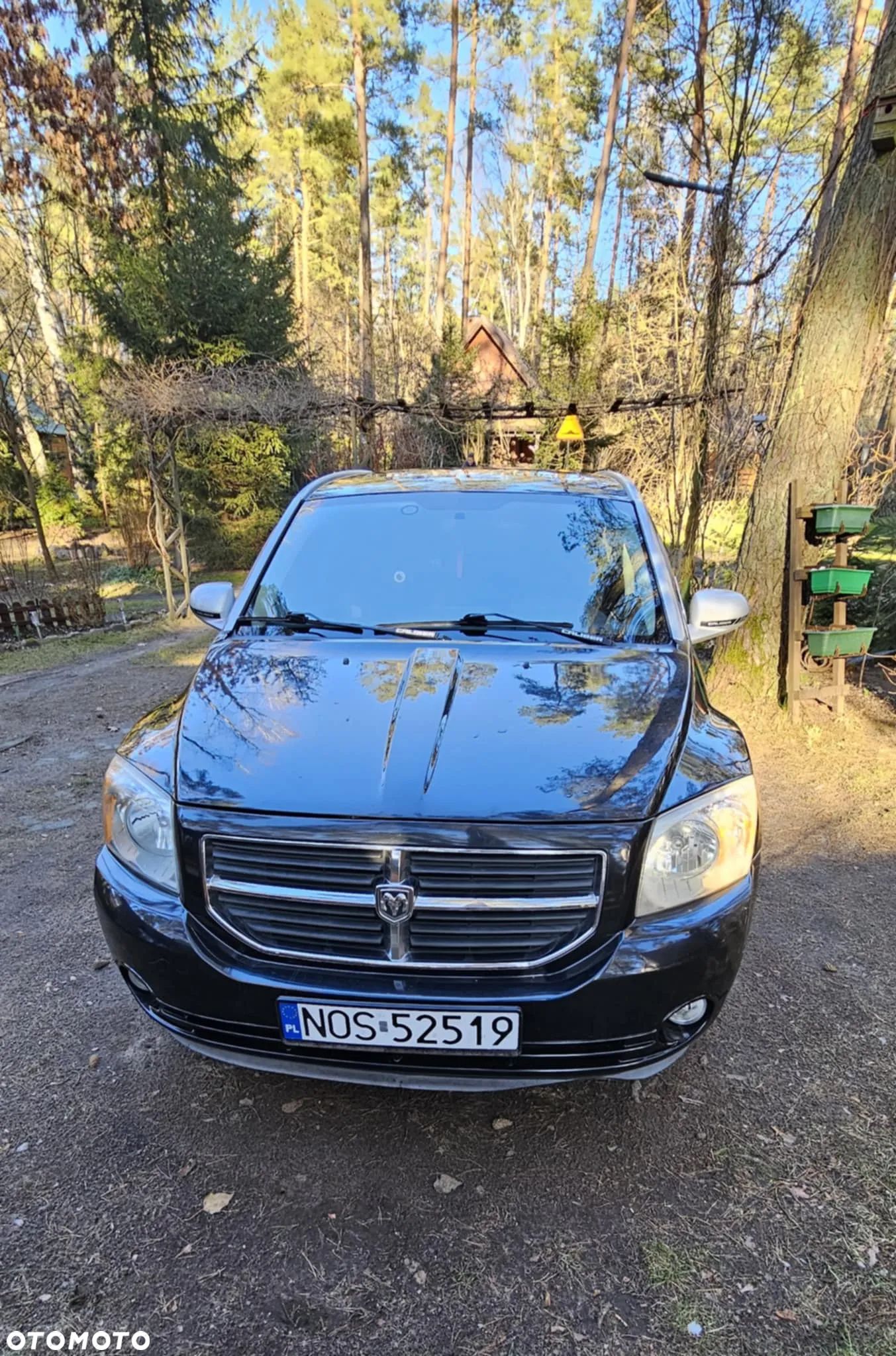 Dodge Caliber - 1