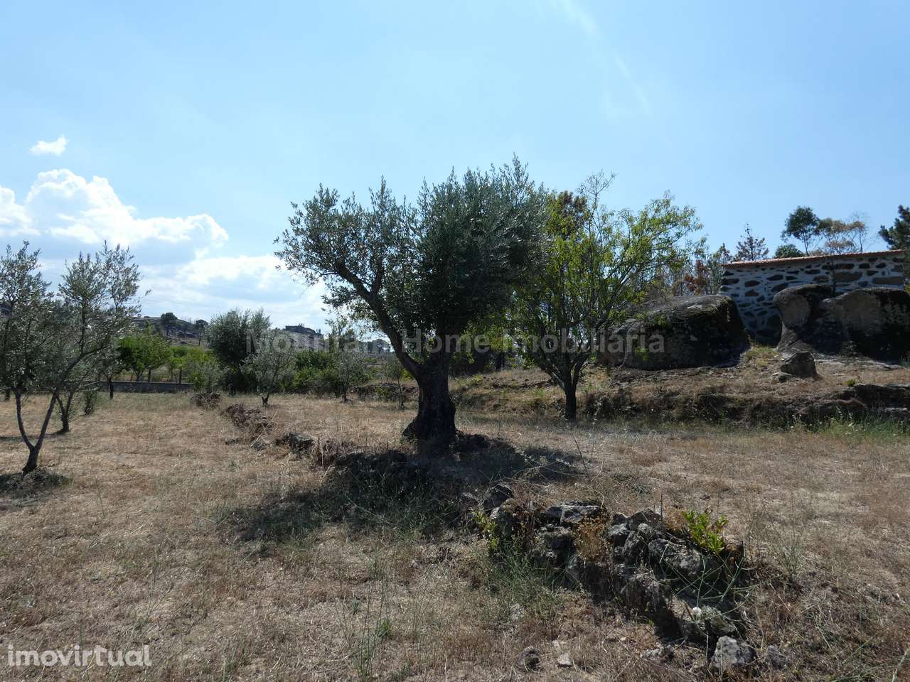 Quintinha  Venda em Arcozelo,Gouveia - Grande imagem: 4/21