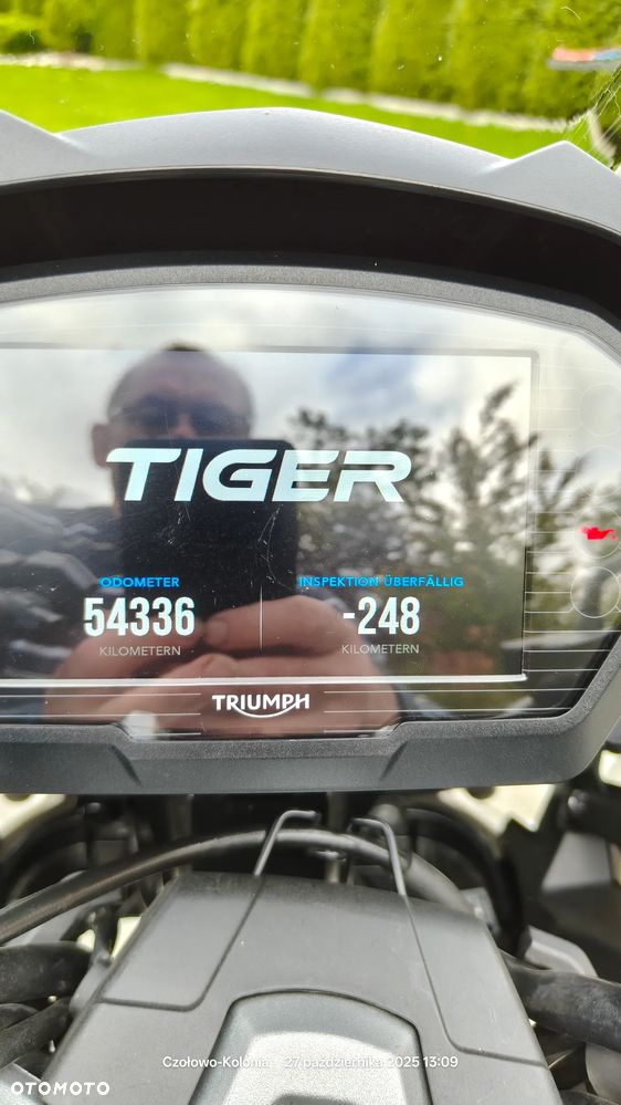 Triumph Tiger - 21