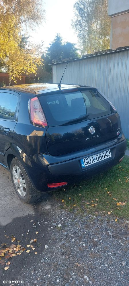 Fiat Punto Evo 1.4 8V Estiva Blue&Me Euro5 - 7