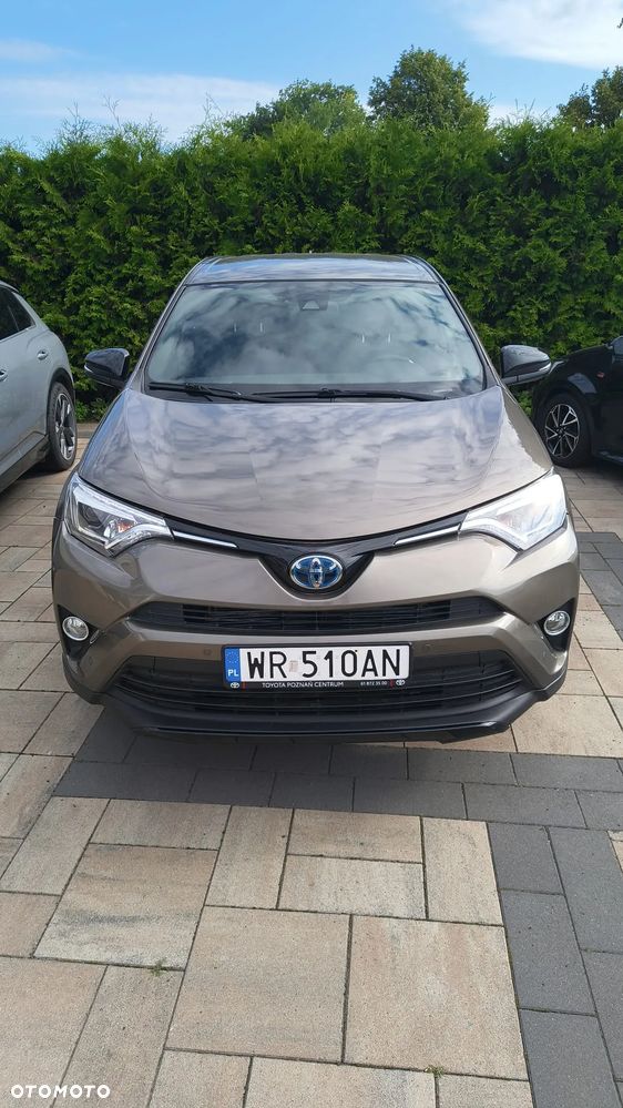 Toyota RAV4 Hybrid Prestige 4x2 - 14