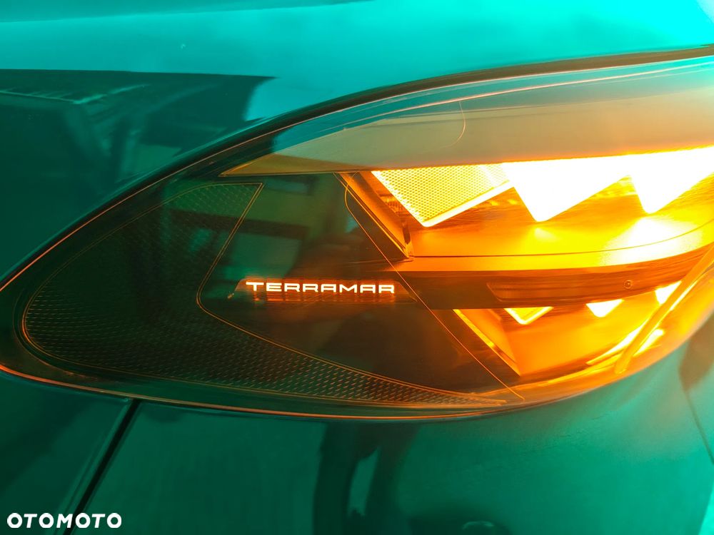 Cupra Terramar 2.0 TSI 4Drive DSG - 11