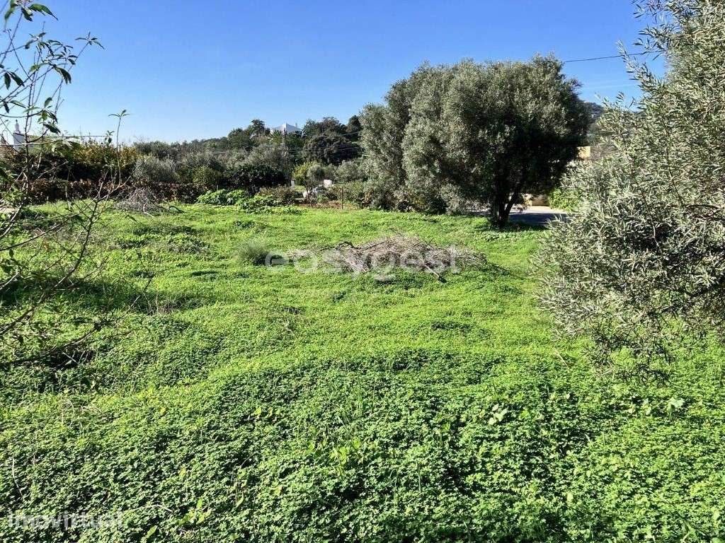 Excelente Lote com uma área de 650,8 m2, com projeto aprovado em Estoi - Grande imagem: 3/11