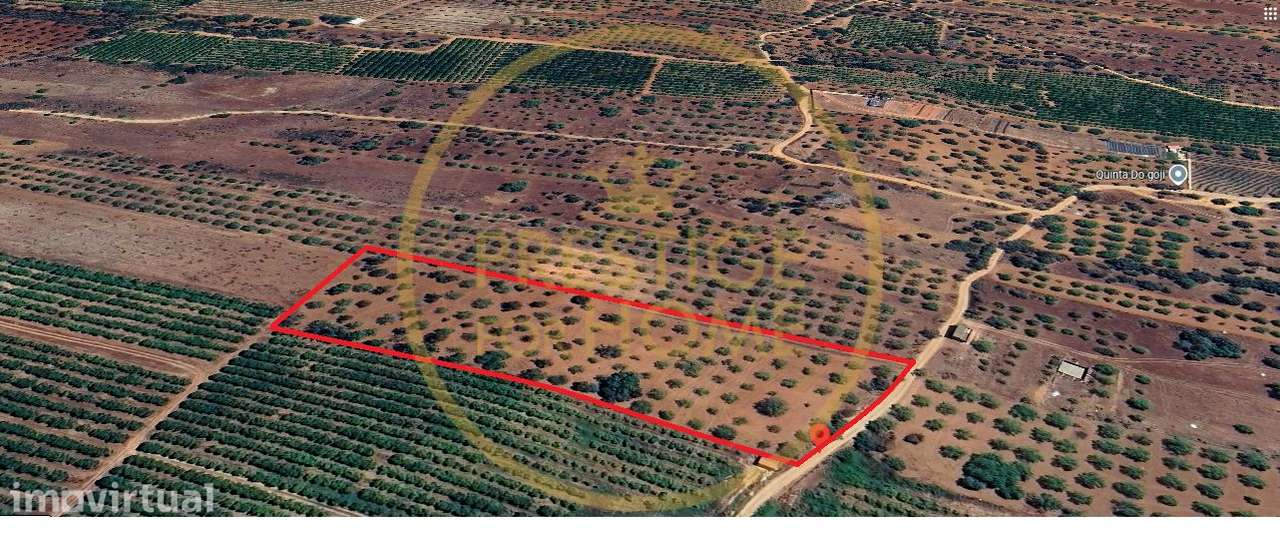 Terreno, 10 892 m², Paderne - Grande imagem: 3/15