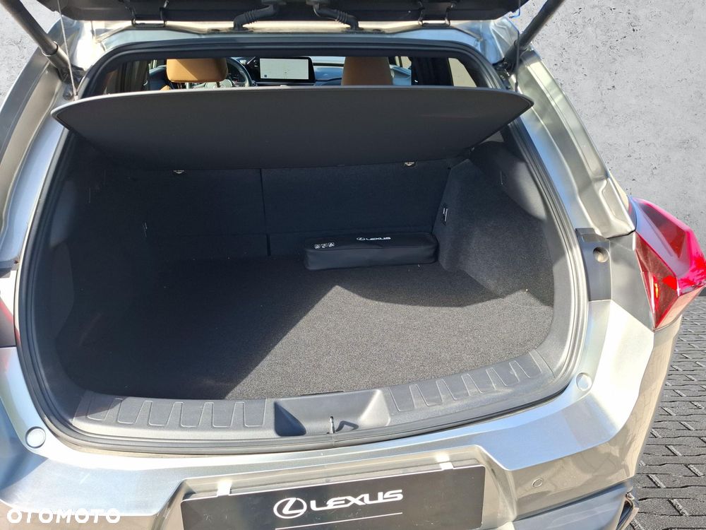 Lexus UX 200 GPF F Sport Design+ 2WD - 21