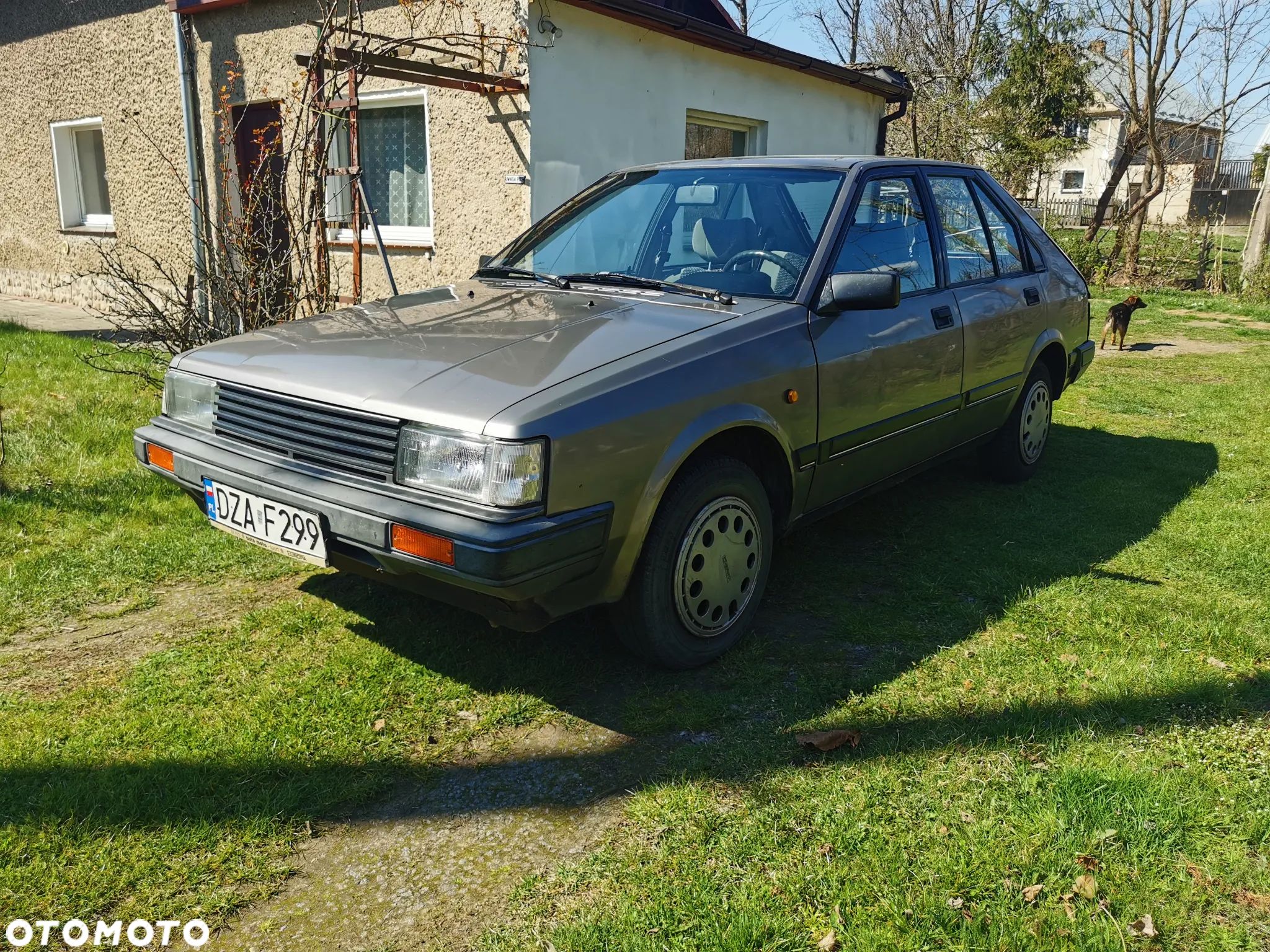 Nissan Cherry - 1