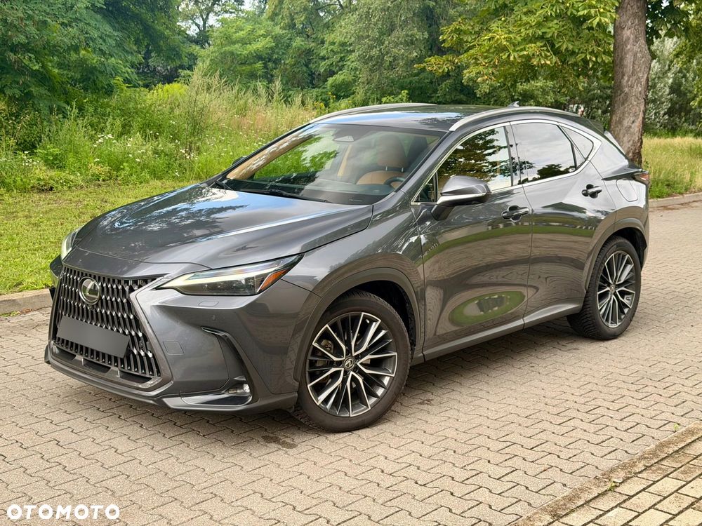 Lexus NX 350h Omotenashi AWD - 2