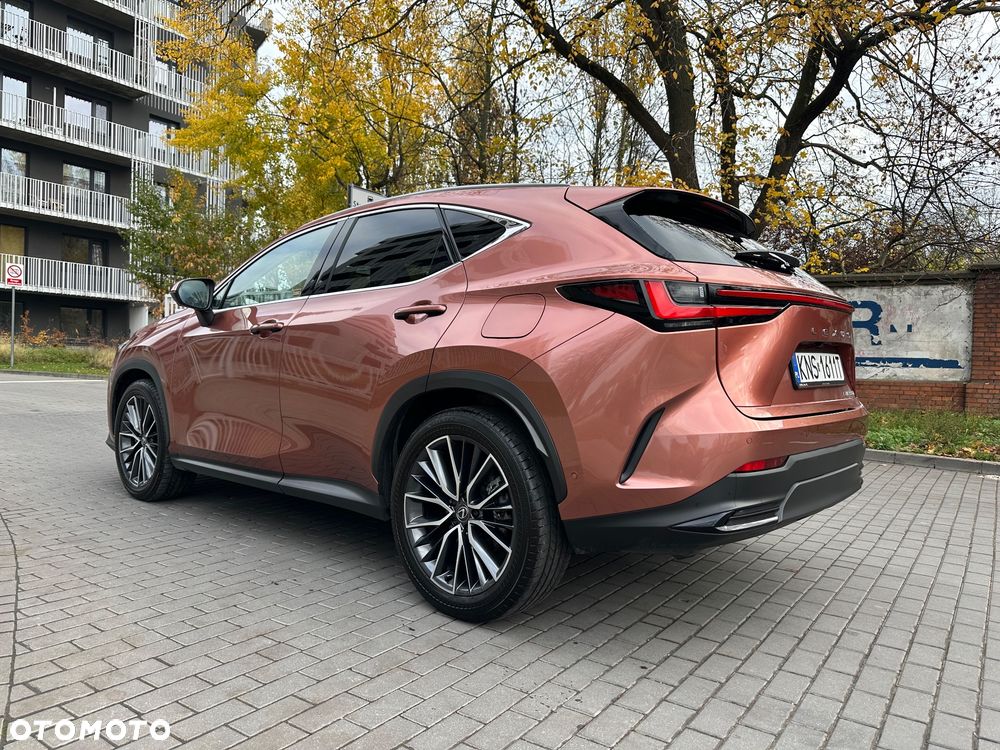 Lexus NX 350h Omotenashi AWD - 4
