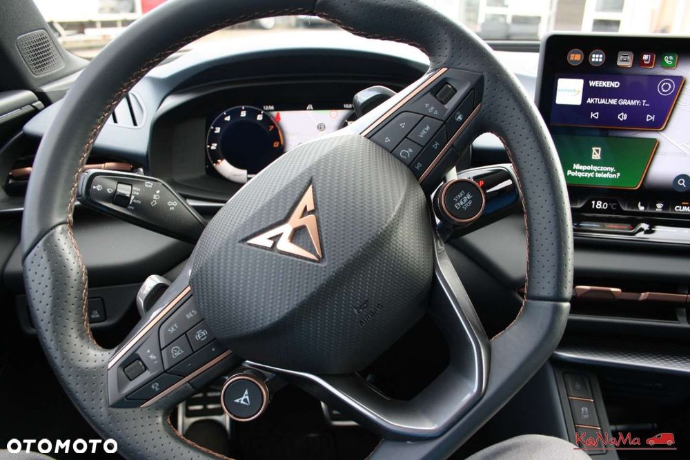 Cupra Terramar - 2
