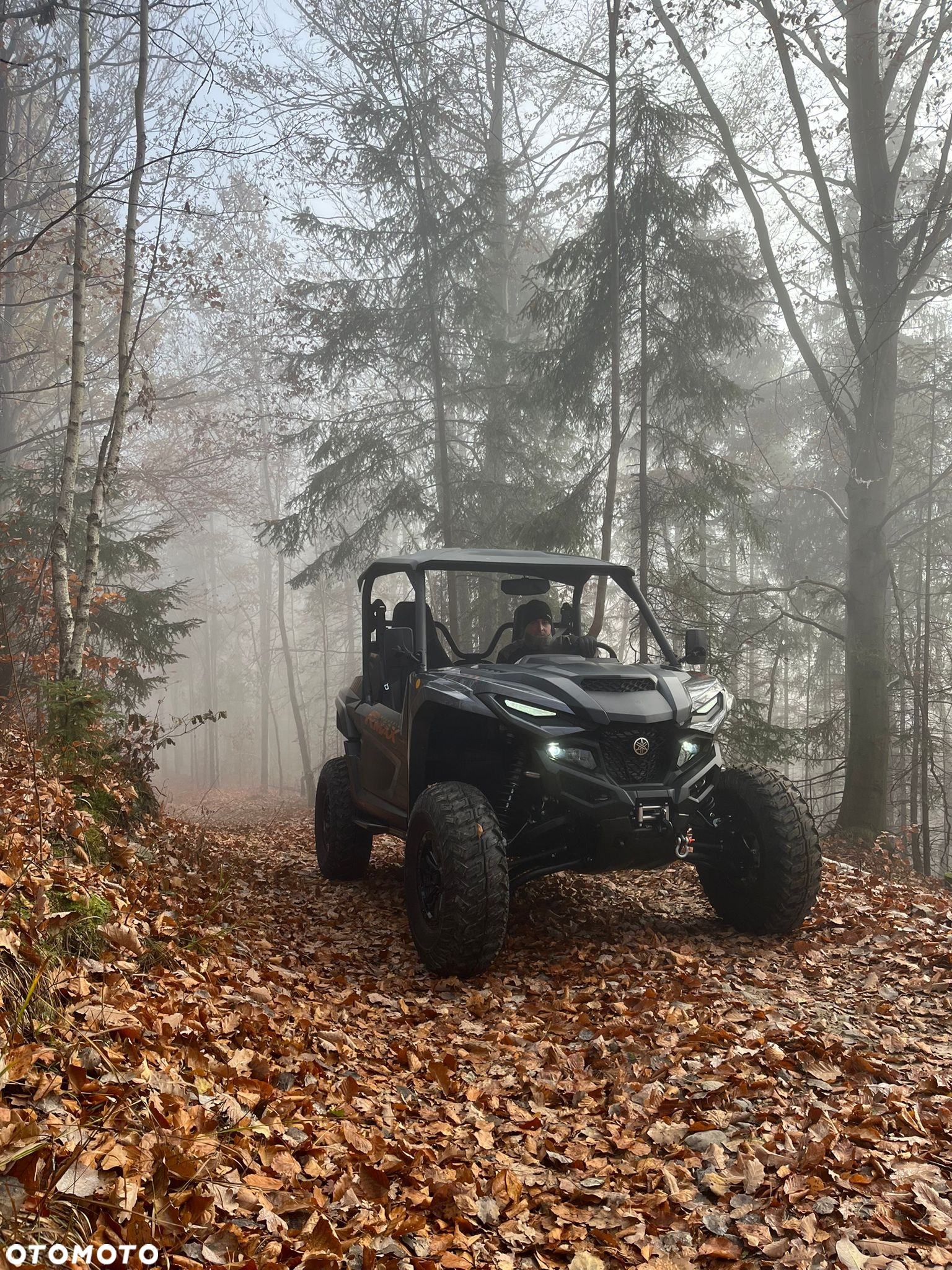 Yamaha Wolverine - 10