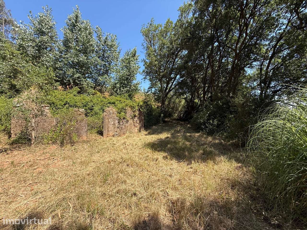 Refúgio rural isolado! Terreno de 3.920 m2 com ruína - a 10 min Óbidos - Grande imagem: 2/10
