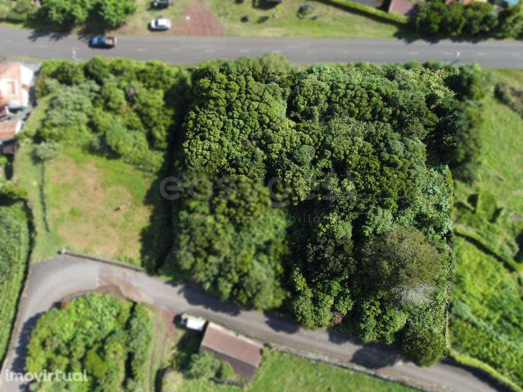 Terreno com Vista Mar e Potencial de Construção , Prainha, São Roqu... - Grande imagem: 3/14