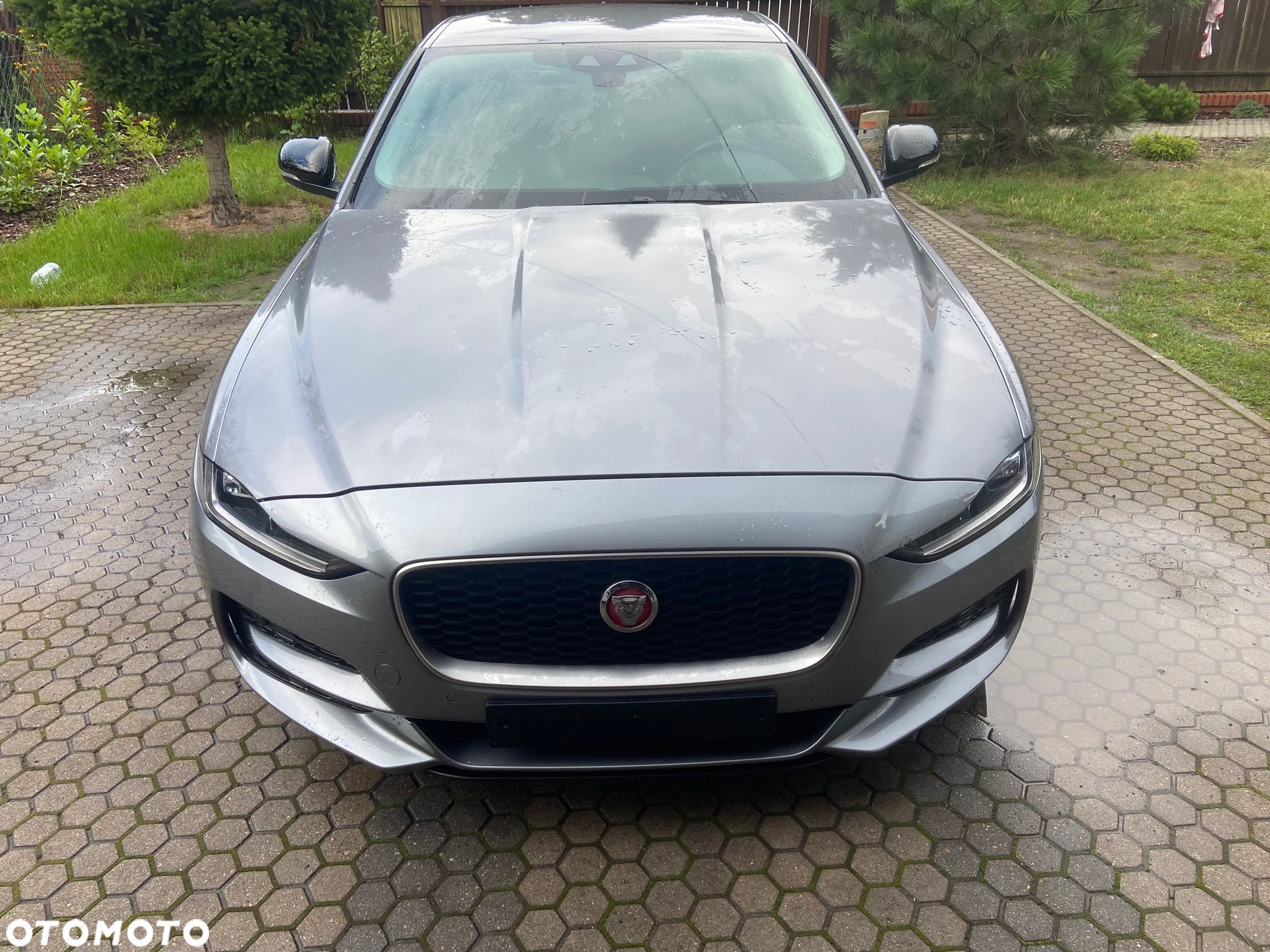Jaguar XE 2.0 D180 SE - 1
