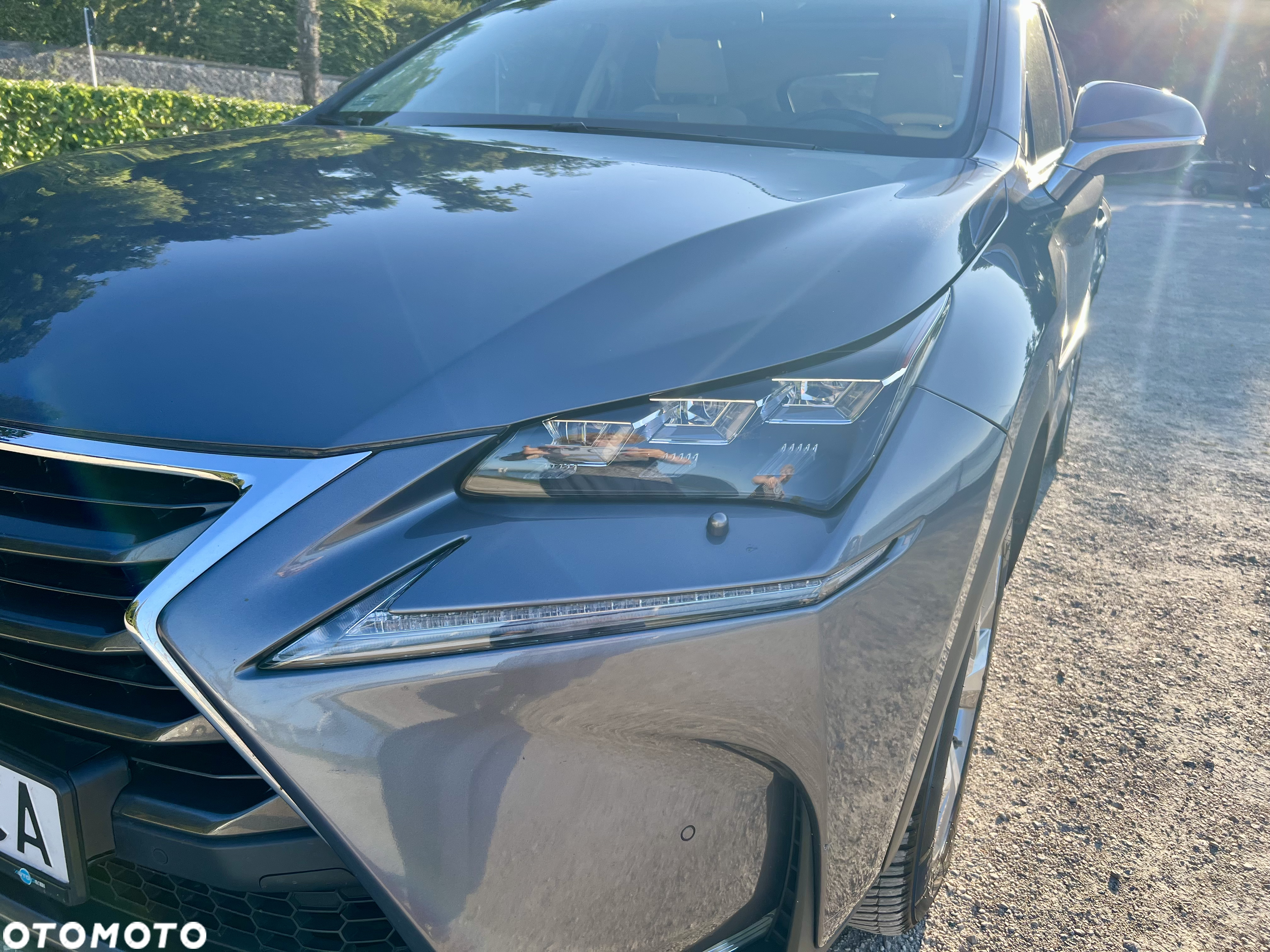 Lexus NX 300h Prestige AWD - 14
