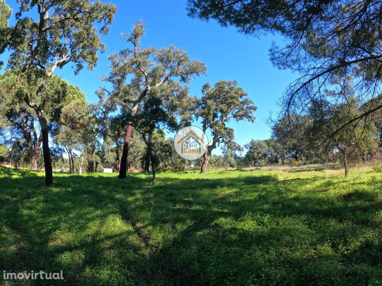 Terreno Rústico de 1,75 ha com Montado de Sobreiros – Oportunidade no - Grande imagem: 4/16