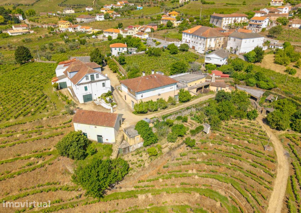 Duas quintas com 30ha para venda em Santa Marta de Penaguião, propried - Grande imagem: 2/37