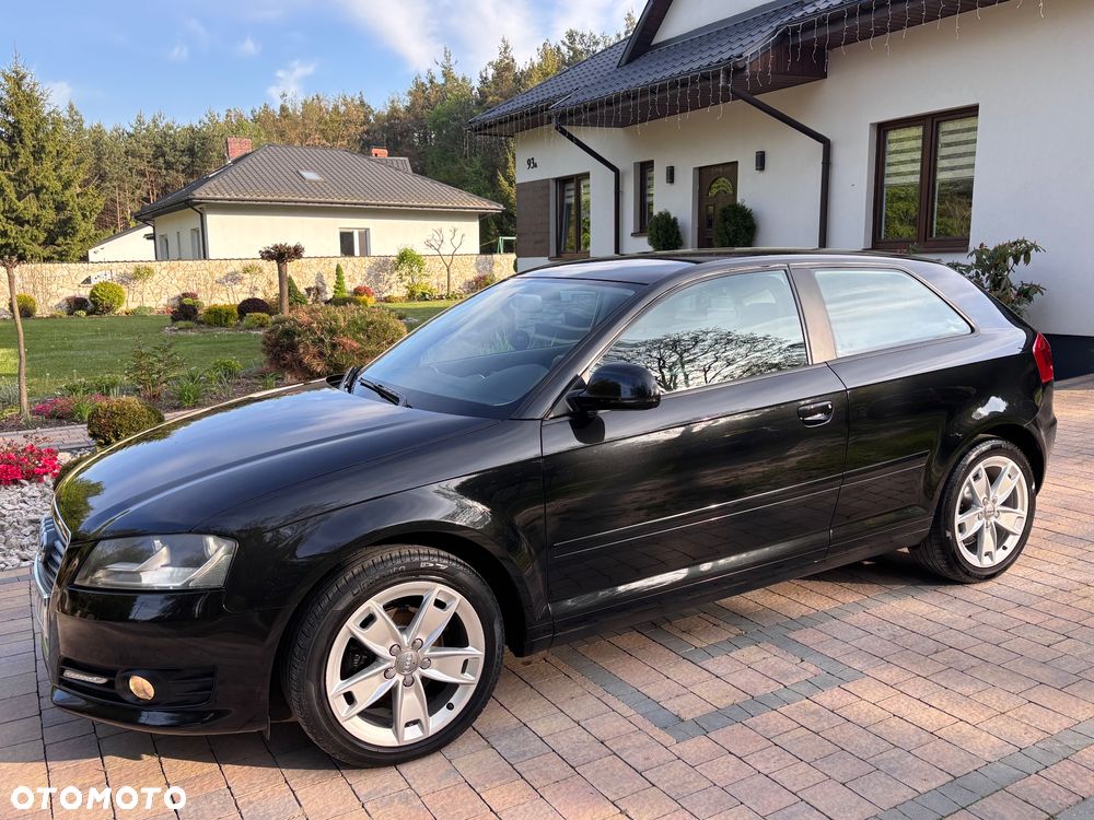 Audi A3 3-drzwiowe 1.6 Ambition - 21