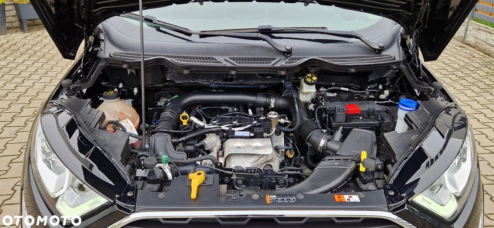 Ford EcoSport 1.0 EcoBoost GPF Titanium ASS - 29