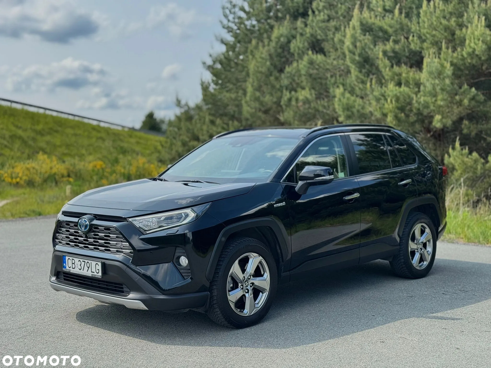 Toyota RAV4 2.5 Hybrid Executive 4x4 - 2