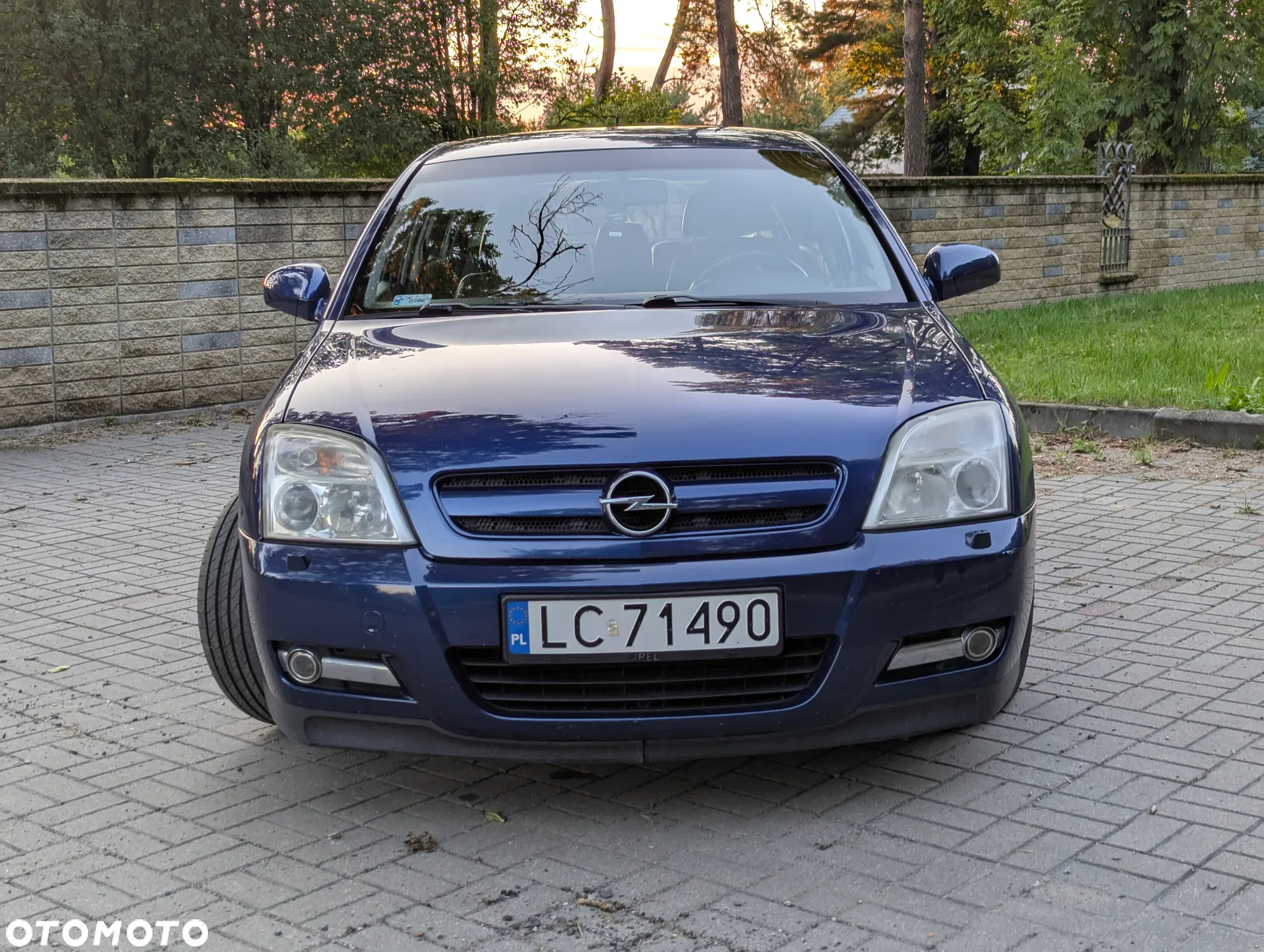 Opel Signum 2.0 Turbo Sport - 2