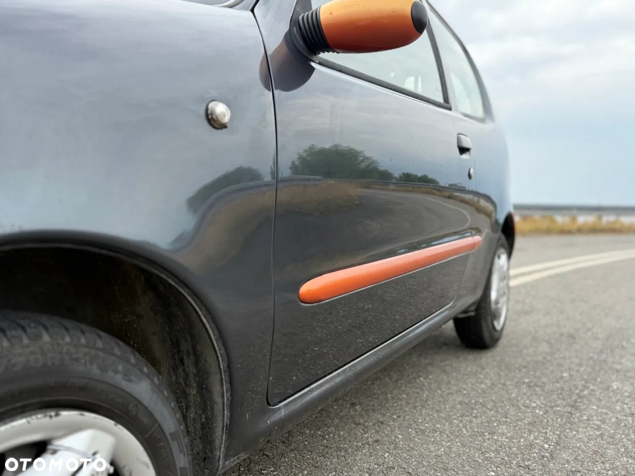 Fiat Seicento Brush - 10