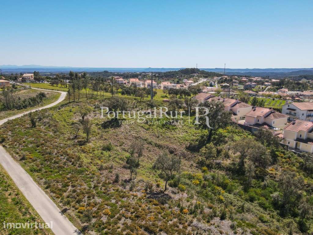 Terreno Apto para a construção de Moradias - 1 hectare - Grande imagem: 3/9