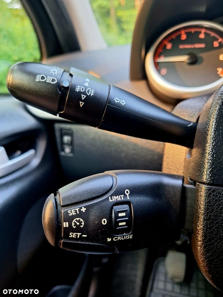 Peugeot 207 75 forever - 14